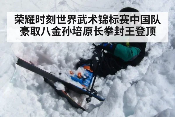 荣耀时刻世界武术锦标赛中国队豪取八金孙培原长拳封王登顶